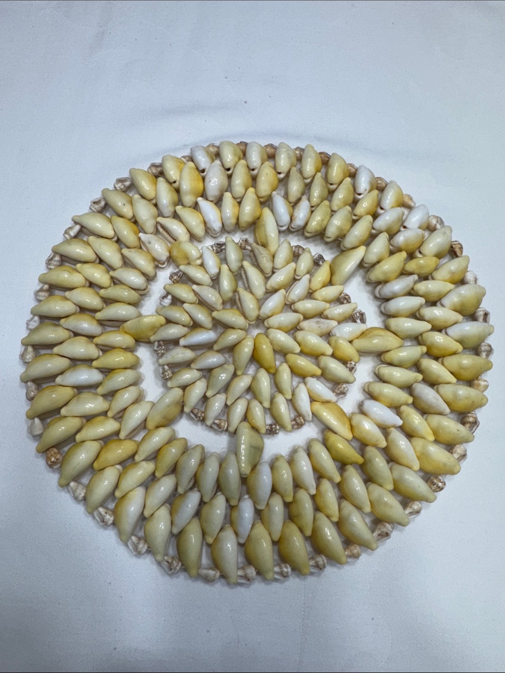 Vtg. 1970’s Cowrie seashell trivet. 8 1/2”